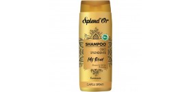 SPLENDOR SHAMPOO OLIO SPLENDENTE CAP.SPENTI 300ml
