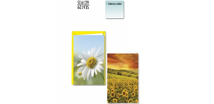 1 BIGLIETTO AUGURALE 11x17 SENZA TESTO MARGHER./GIRASOLI 2s.