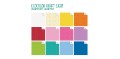 CARTA REGALO REX 70x100 ECOCOLOR LIGHT x10fg