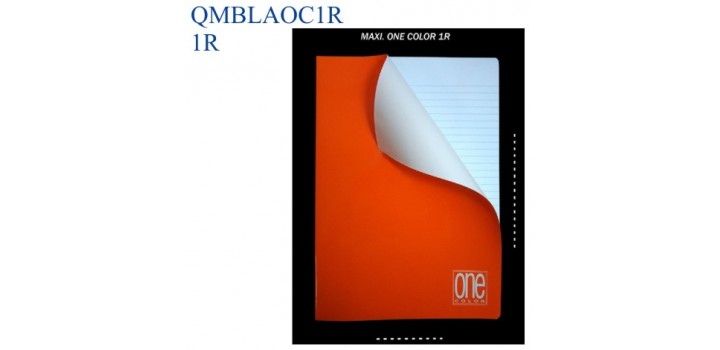 10 QUADERNONI MAXI A4 ONE COLOR BLASETTI 80fg 80gr 1R 1413