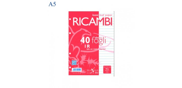 RICAMBI QUADERNO A5 PIGNA 80gr 40fg 1R